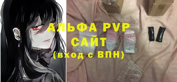 эйфоретик Няндома
