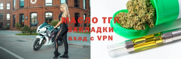 эйфоретик Няндома