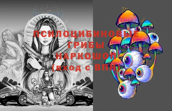 СК Белая Холуница