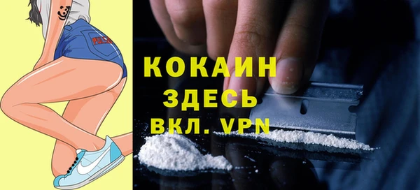 эйфоретик Няндома