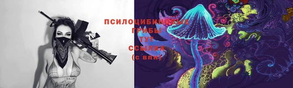 СК Белая Холуница