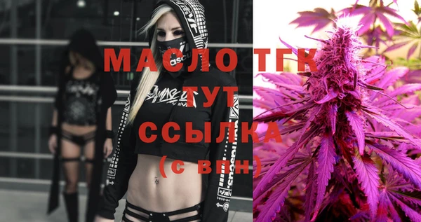 эйфоретик Няндома