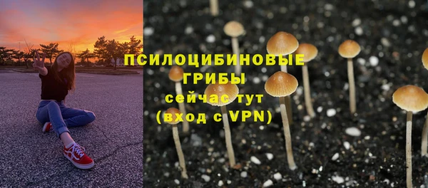 соль ск Бежецк