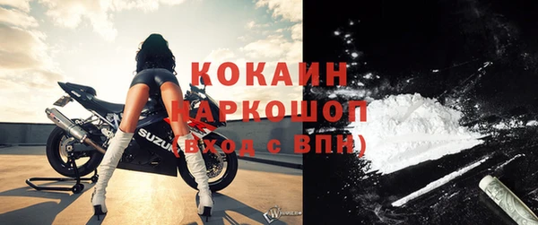эйфоретик Няндома