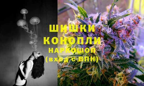 эйфоретик Няндома