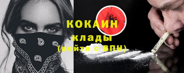 эйфоретик Няндома